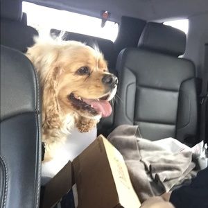 Meet your Posher, Sarah